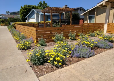 Front Yard Delight